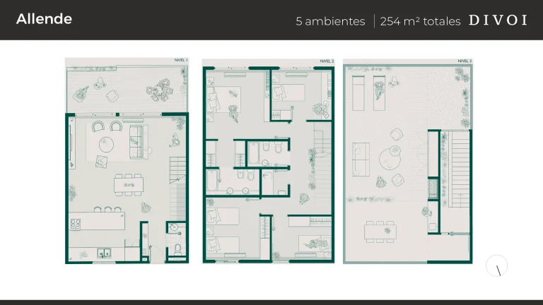 divoi_5amb_254m_allende